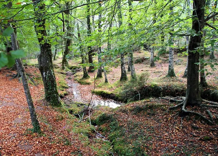 Eco Salvador Hotel Geres