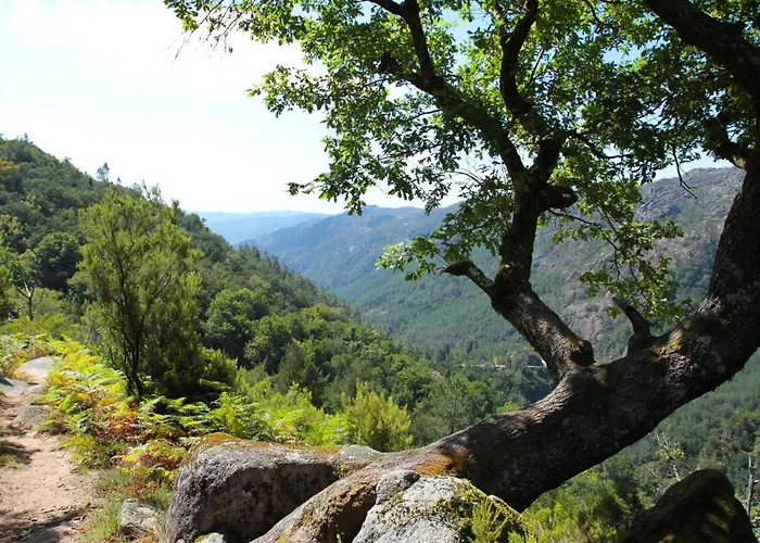 Hotel Eco Salvador Geres